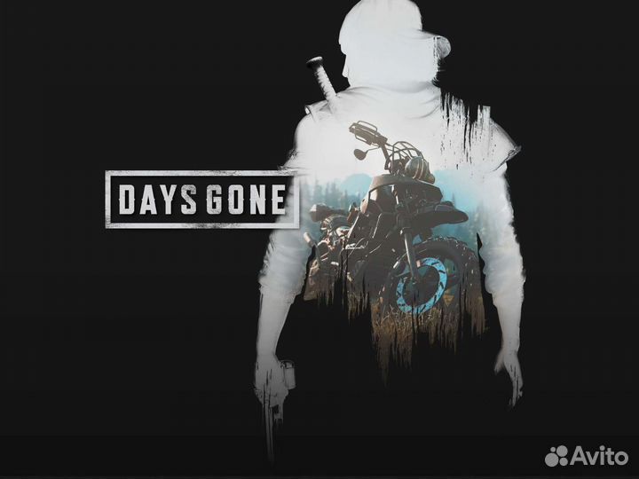 Days gone steam