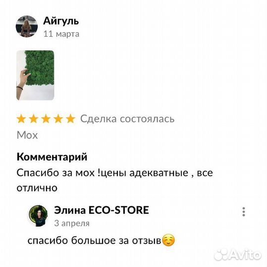 Панно из плоского мха