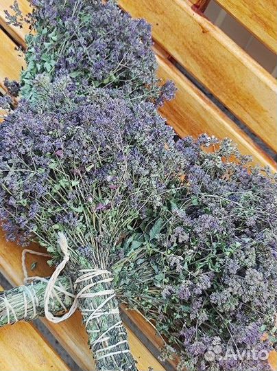 Лекарственные травы