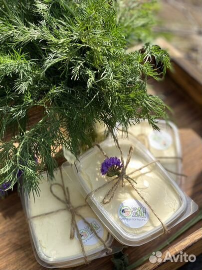 Масло сливочное домашнее опт