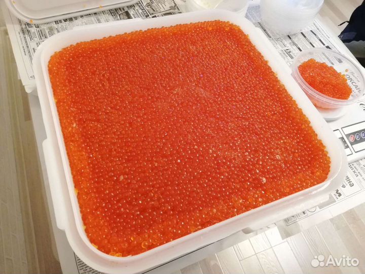 Икра Горбуши