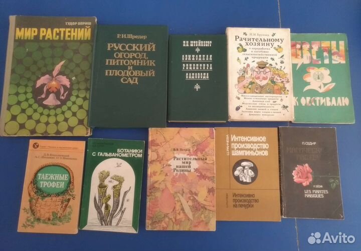 Сад огород цветы плодовые деревья овощи СССР