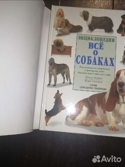 Все о собаках