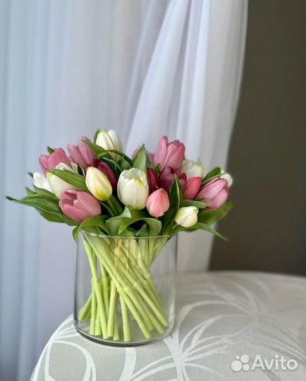 Тюльпаны интерьерные