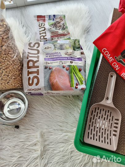 Сухой корм для кошек