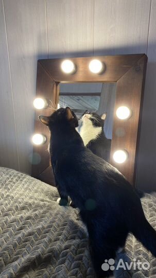 Зеркало с лампочками