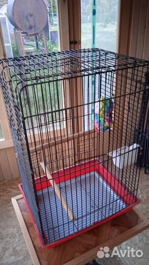 Клетка для крупных птиц