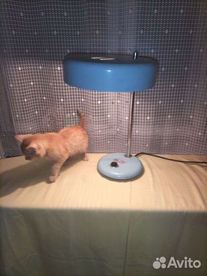 Лампа настольная