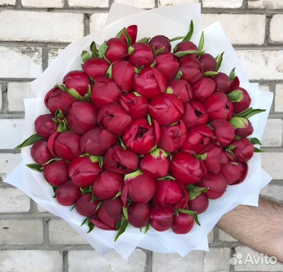 Пионы букет база опт