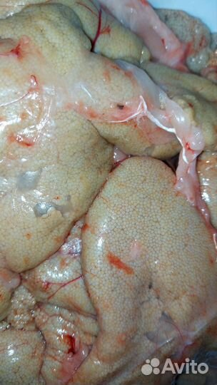 Икра леща свежая