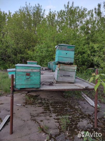 Платформа (прицеп) для перевозки пчёл