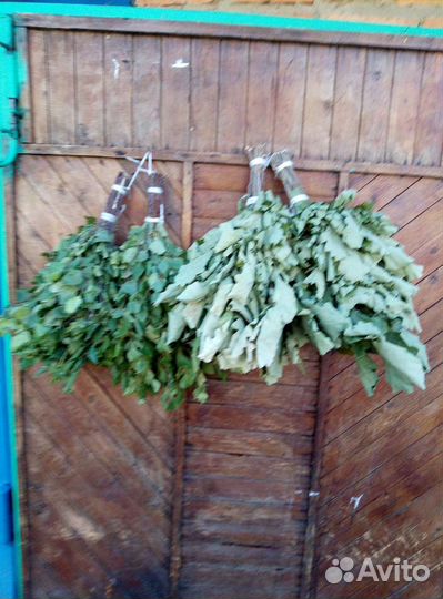 Веники для бани