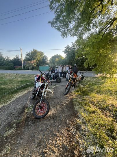 Ирбис ттр 125