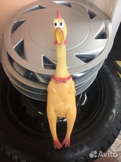 Орущая курица