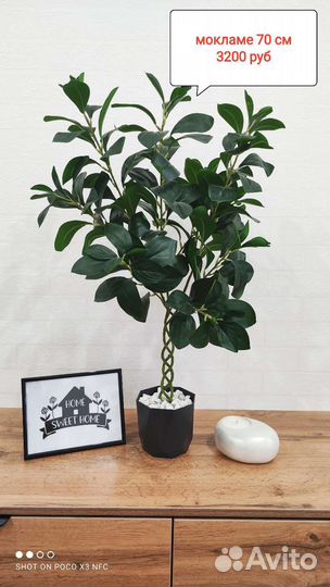 Искусственные деревья, пальмы для декора