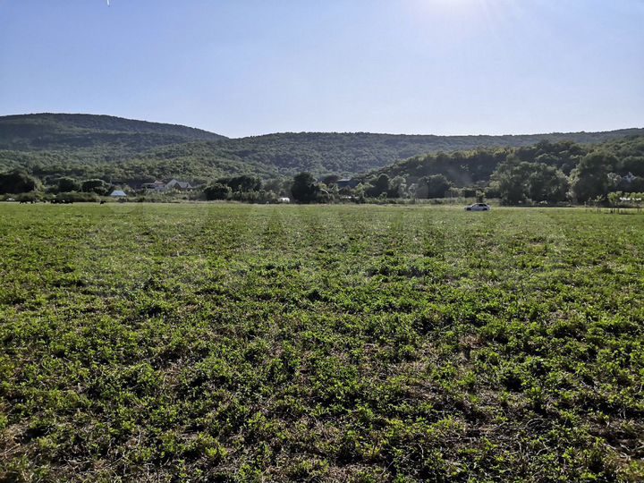 Участок 4,3 сот. (СНТ, ДНП)