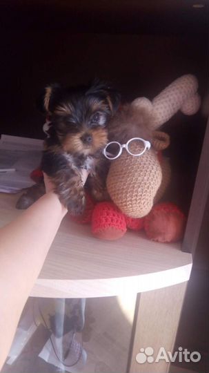 Поделки в детский сад