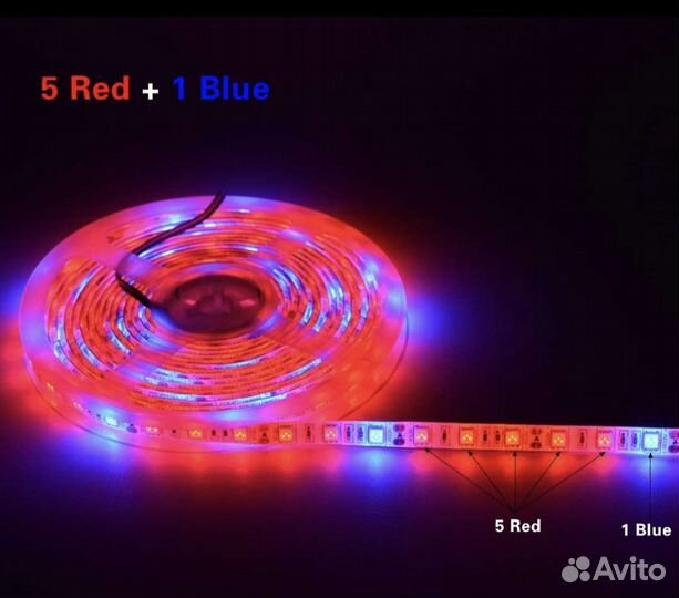 Ультрафиолетовые ленты лампы 5м