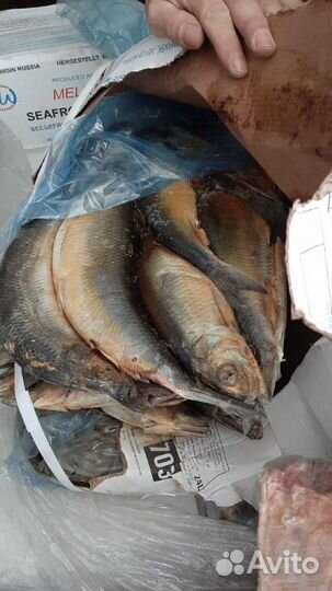 Корм для домашних животных и птиц