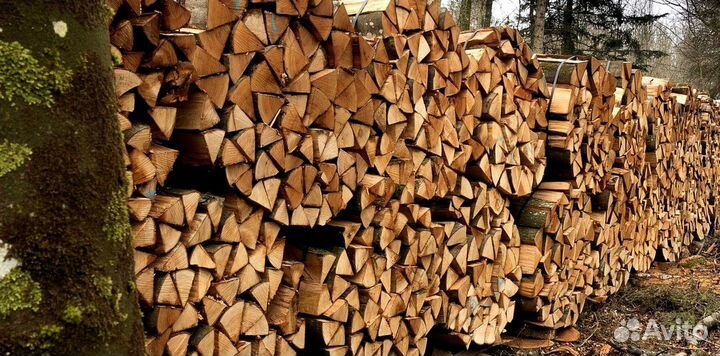 Дрова понимающих