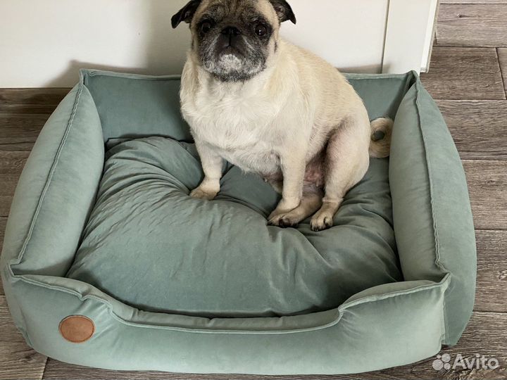 Лежанка для животных бу