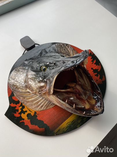 Рыболовный сувенир