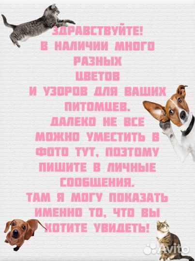 Одежда для собак и кошек