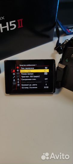 Panasonic lumix gh5 ii body
