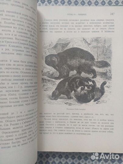 Брэм. Жизнь животных, в 3-х томах