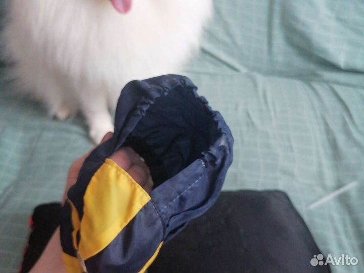 Шапка для собаки