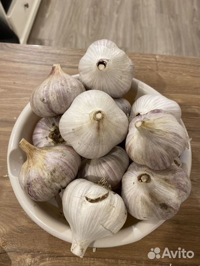 Продам чеснок