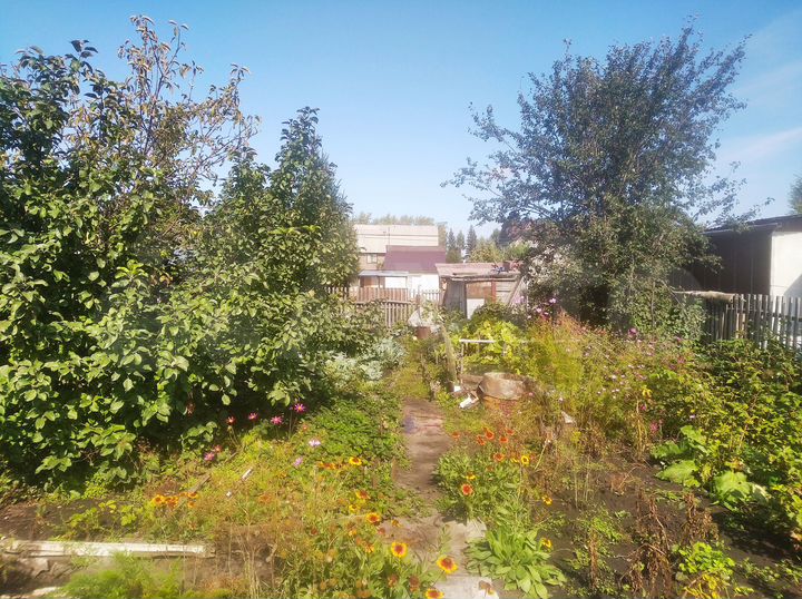 Дача 16 м² на участке 6 сот.