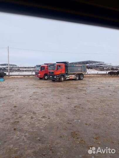 Услуги самосвала 22м3