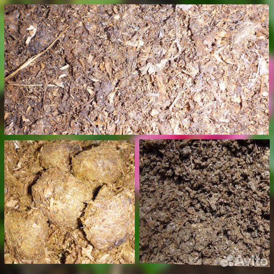 Перегной навоз конский коровий