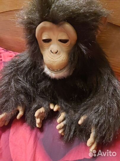 Обезьяна шимпанзе FurReal Friends Interactive