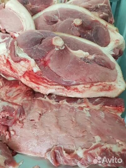 Мясо домашнее (Мангалица) кабан дикий