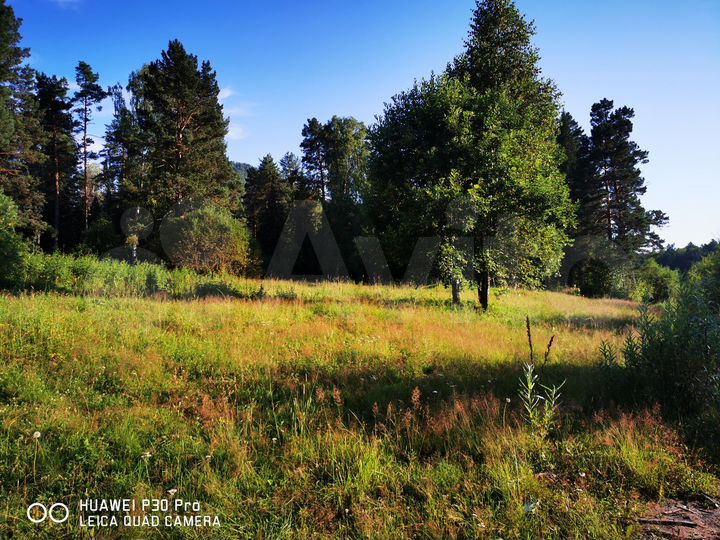 Участок 11 сот. (СНТ, ДНП)