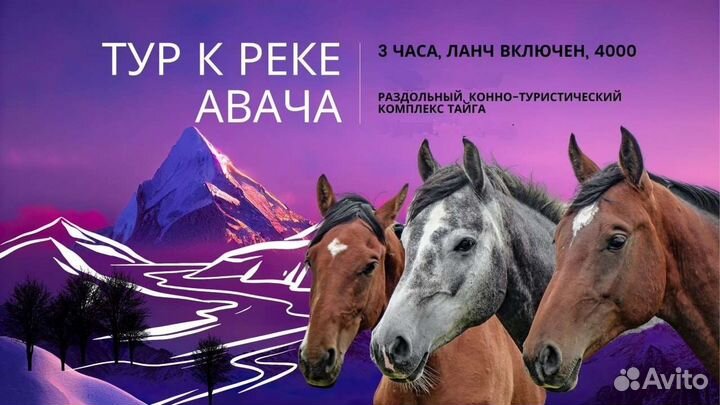 Конные прогулки