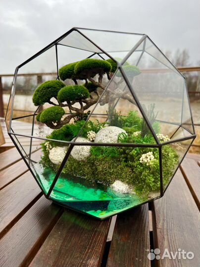 Флорариум Моссариум Оригинальный подарок