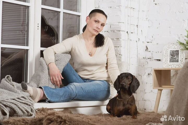 Курсы дрессировки собак в Спб