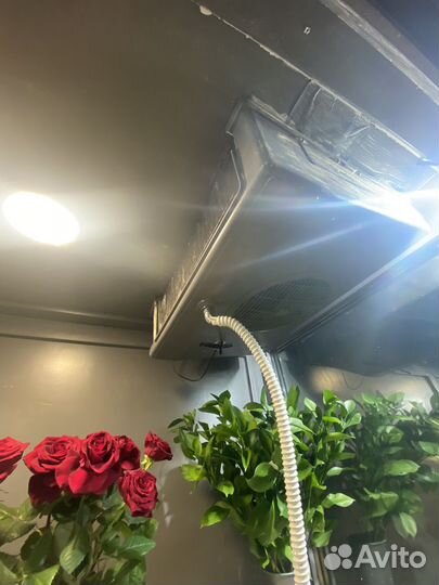 Холодильная камера для цветов