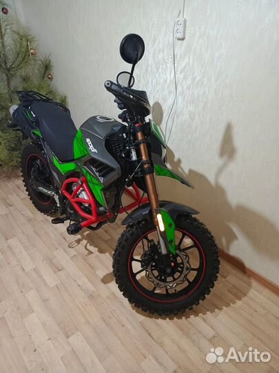 Rockot tekken 250 hound