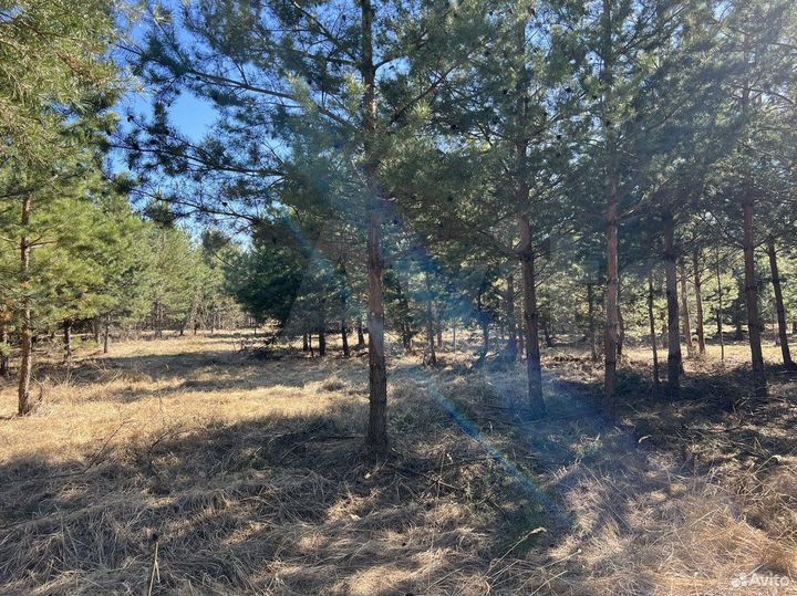 Участок 24 сот. (ИЖС)