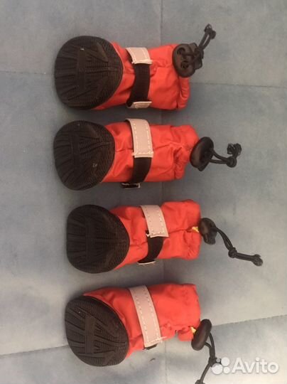 Обувь для собак