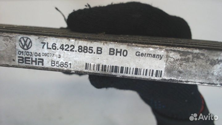 Радиатор масляный Volkswagen Touareg, 2004