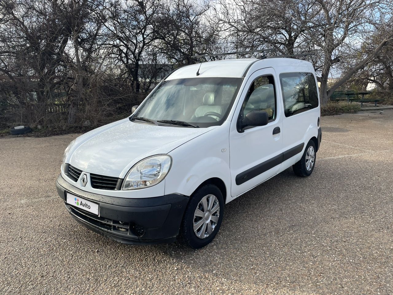 Renault Kangoo: фото владельца