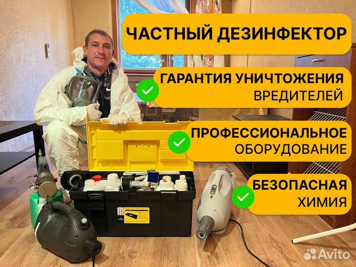 Уничтожение клопов, тараканов, крыс. Дезинфекция