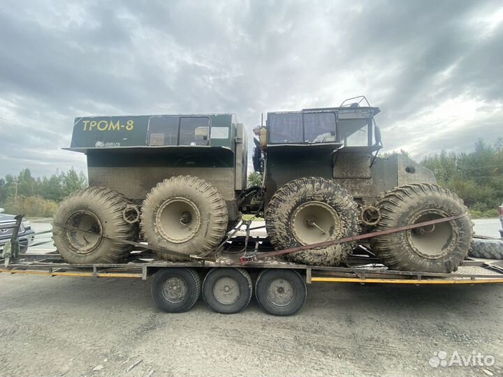 Снегоболотоход Тром-8