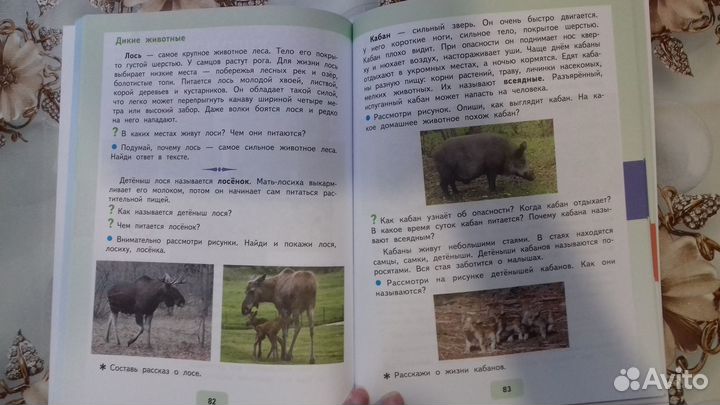 Матвеева, Попова. Живой мир 3 и 4 класс Учебник