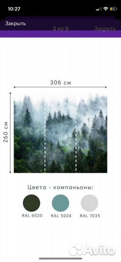 Фотообои лес